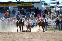 BungendoreRodeo2014_1569