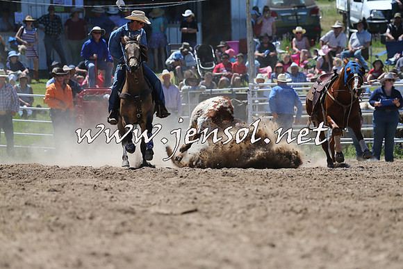 BungendoreRodeo2014_1591