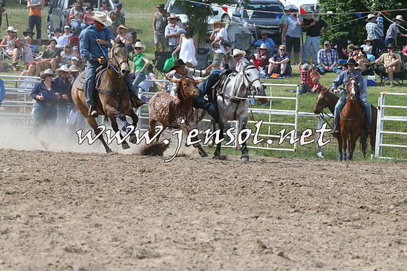 BungendoreRodeo2014_2292