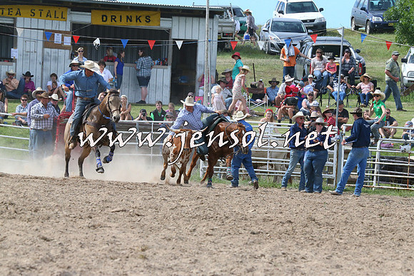 BungendoreRodeo2014_2331