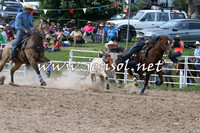 Steer Wrestling