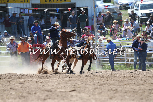 BungendoreRodeo2014_1584