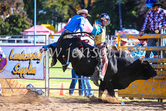 BathurstShow2017Sun_4302