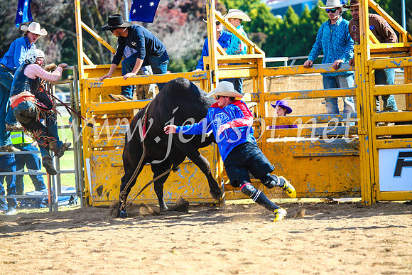 BathurstShow2017Sun_4385
