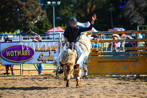 BathurstShow2017Sun_4560