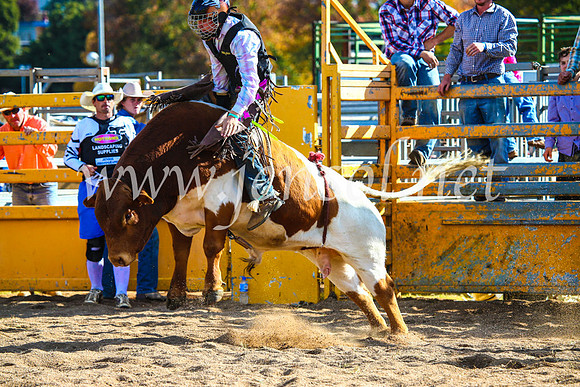 BathurstShow2017Sun_4571