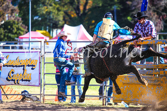 BathurstShow2017Sun_4309