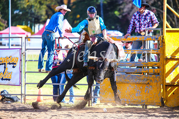 BathurstShow2017Sun_4318