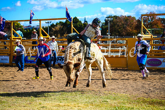 BathurstShow2017Sun_4025