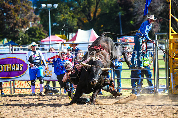 BathurstShow2017Sun_4376