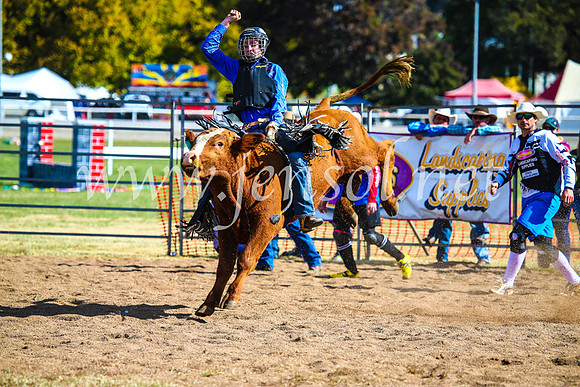 BathurstShow2017Sun_3882