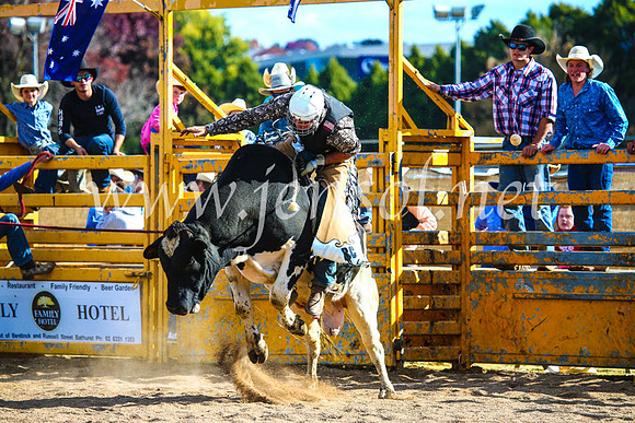 BathurstShow2017Sun_4403
