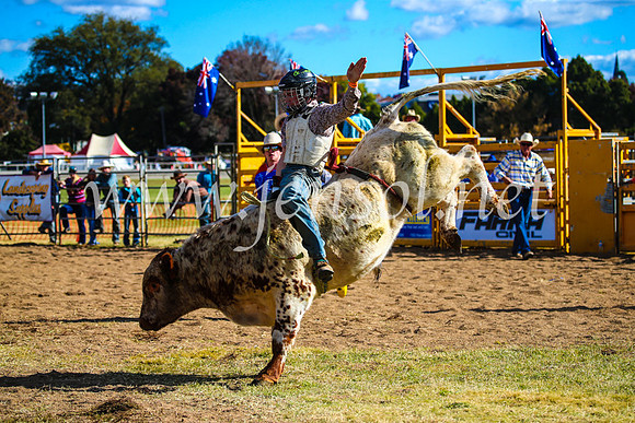 BathurstShow2017Sun_4035