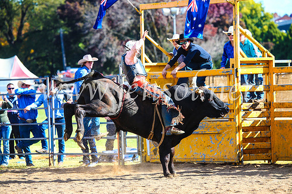 BathurstShow2017Sun_4344