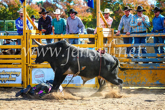 BathurstShow2017Sun_3841
