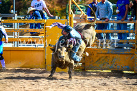 BathurstShow2017Sun_3768