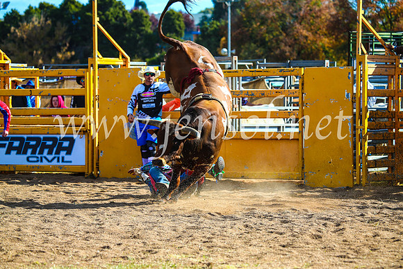BathurstShow2017Sun_4435