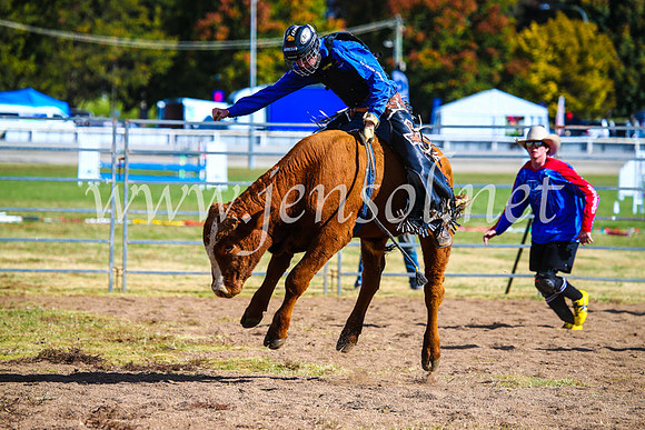 BathurstShow2017Sun_3890