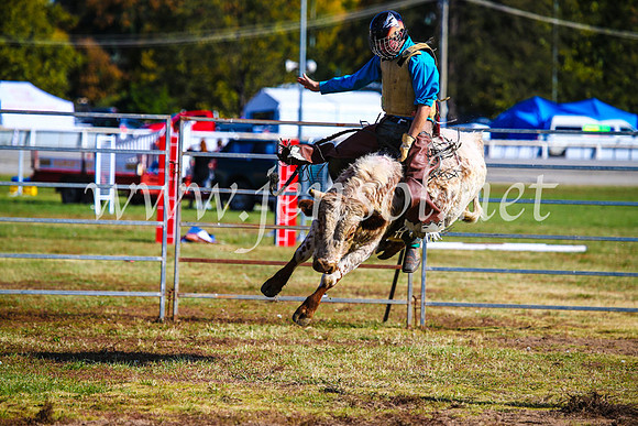 BathurstShow2017Sun_4491