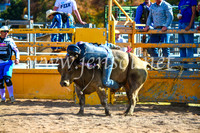 BathurstShow2017Sun_3784
