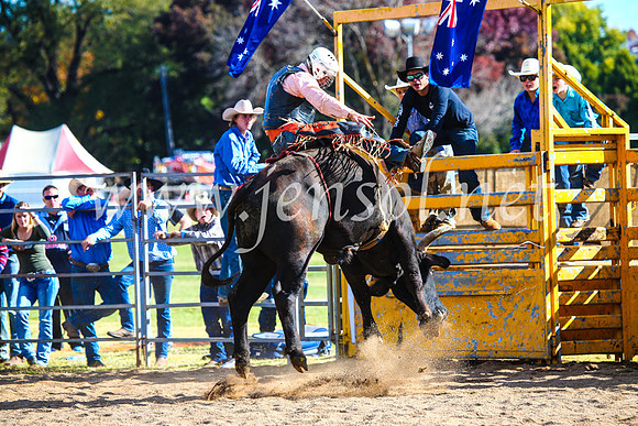 BathurstShow2017Sun_4363
