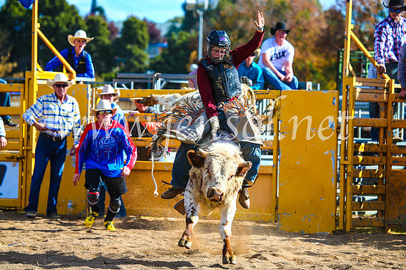 BathurstShow2017Sun_3955