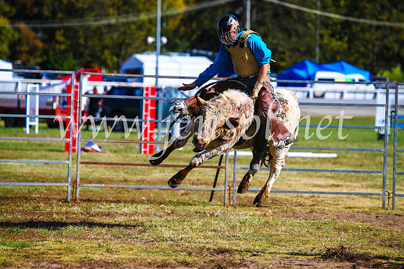 BathurstShow2017Sun_4488