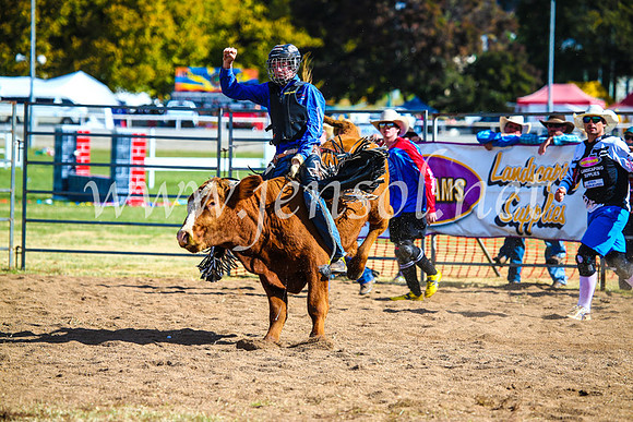 BathurstShow2017Sun_3880