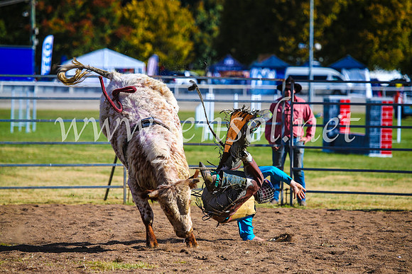 BathurstShow2017Sun_4499