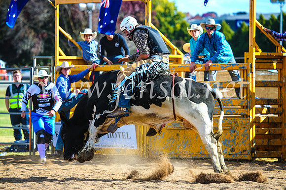 BathurstShow2017Sun_4414
