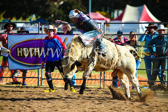 BathurstShow2017Sun_4504