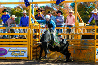 BathurstShow2017Sun_3802