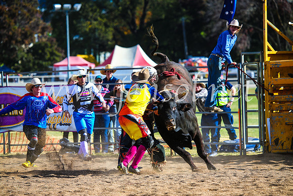 BathurstShow2017Sun_4371