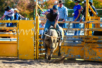 BathurstShow2017Sun_3772