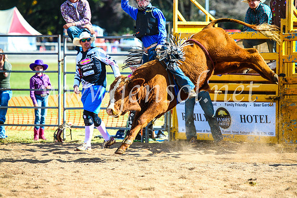 BathurstShow2017Sun_3866