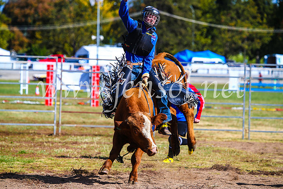 BathurstShow2017Sun_3899