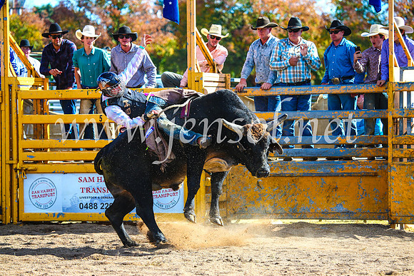 BathurstShow2017Sun_3849