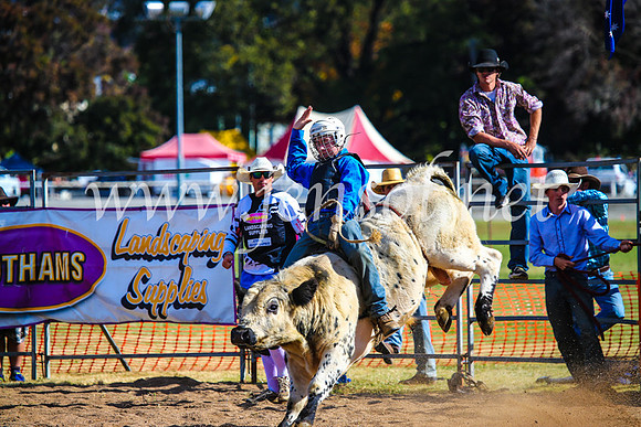 BathurstShow2017Sun_3903