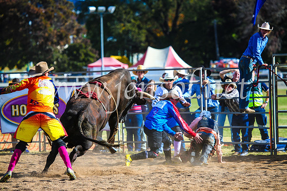 BathurstShow2017Sun_4382