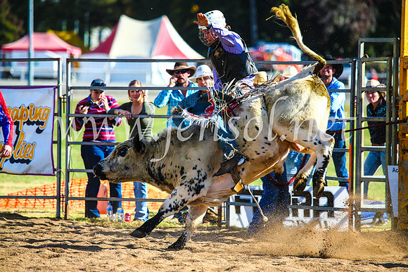 BathurstShow2017Sun_4517