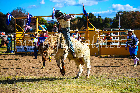 BathurstShow2017Sun_4044