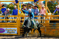 BathurstShow2017Sun_3801