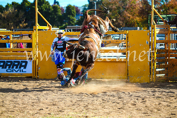 BathurstShow2017Sun_4434