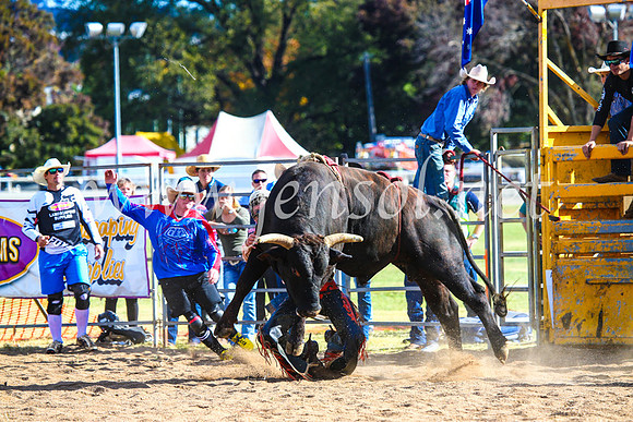 BathurstShow2017Sun_4358