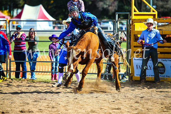 BathurstShow2017Sun_3870