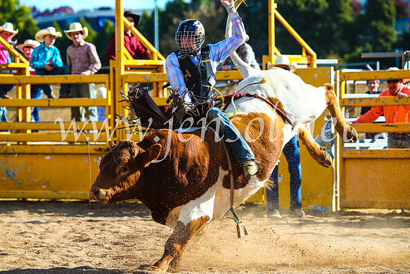 BathurstShow2017Sun_4580