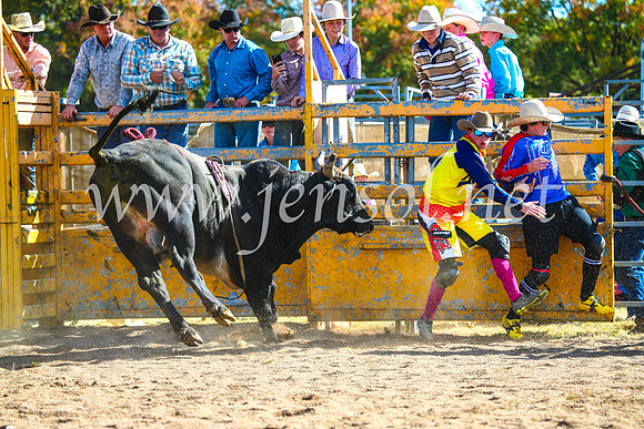 BathurstShow2017Sun_3853