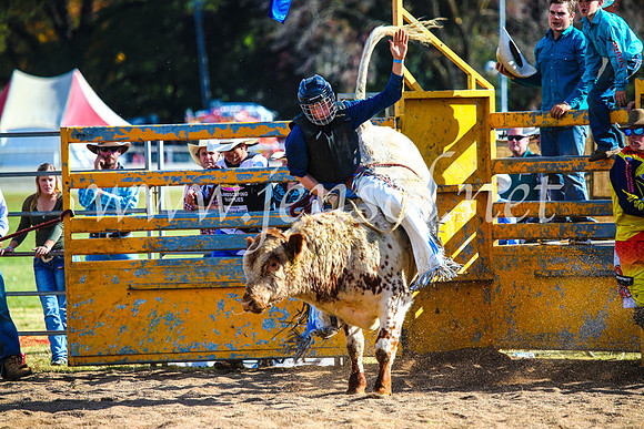 BathurstShow2017Sun_4538