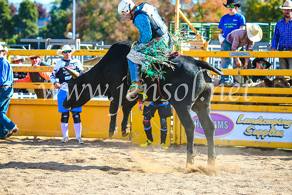 BathurstShow2017Sun_3820