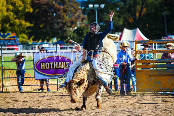 BathurstShow2017Sun_4551